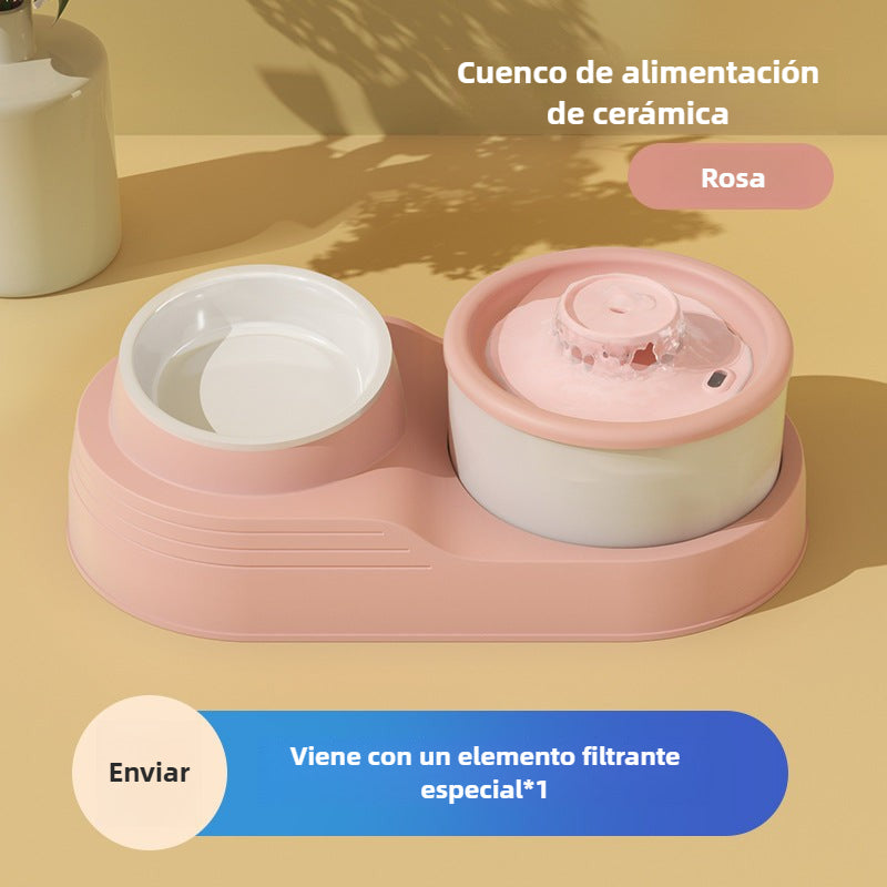 Fuente de Agua 2 en 1 para Gatos: Automático con Filtro Circulante