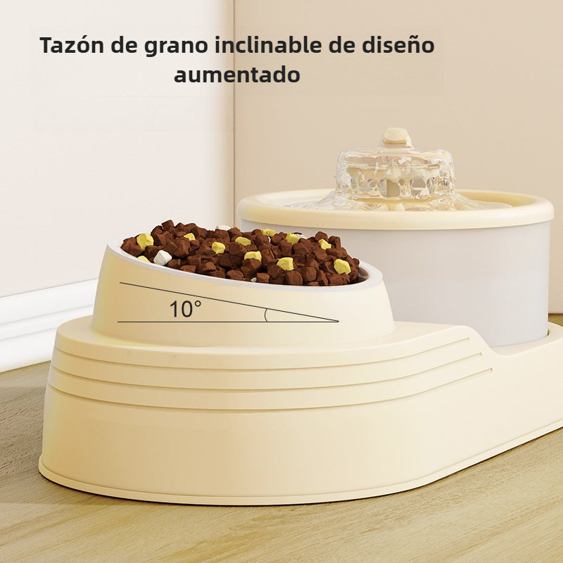 Fuente de Agua 2 en 1 para Gatos: Automático con Filtro Circulante
