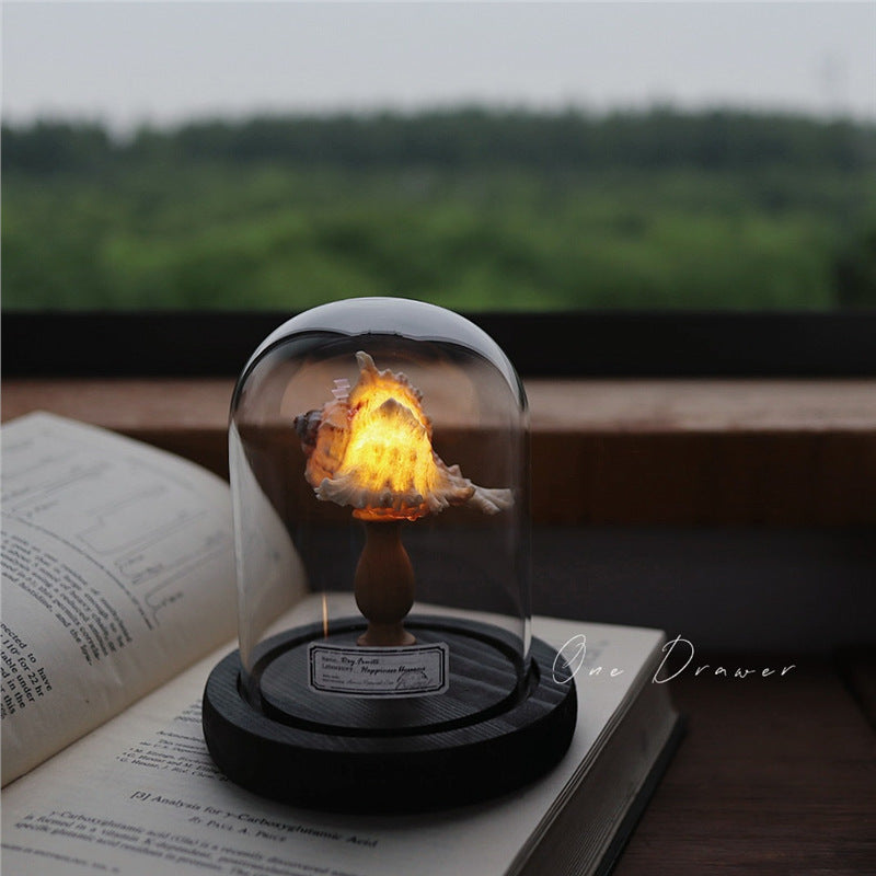 Kit Manualidades DIY : Lámpara de Conchas Marinas