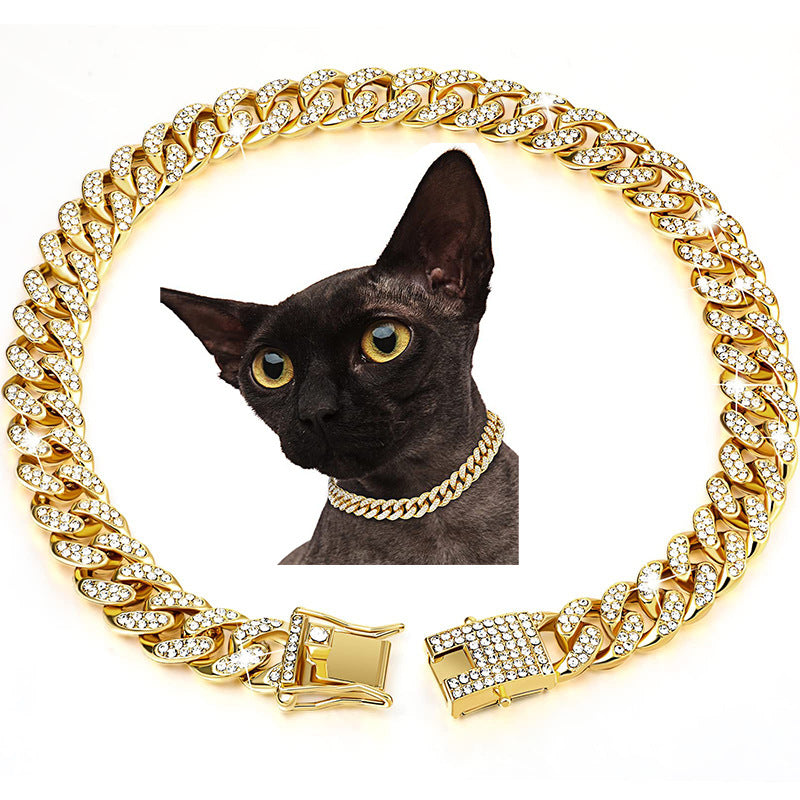 Collar dorado para perro con cristales brillantes estilo urbano