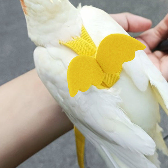 Arnés de Paseo para Loros | Antiestrangulamiento, Seguro y Resistente