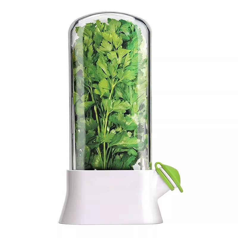Recipiente Conservador de Hierbas y Verduras: Organizador con Ventilación para Cilantro y Aromáticas