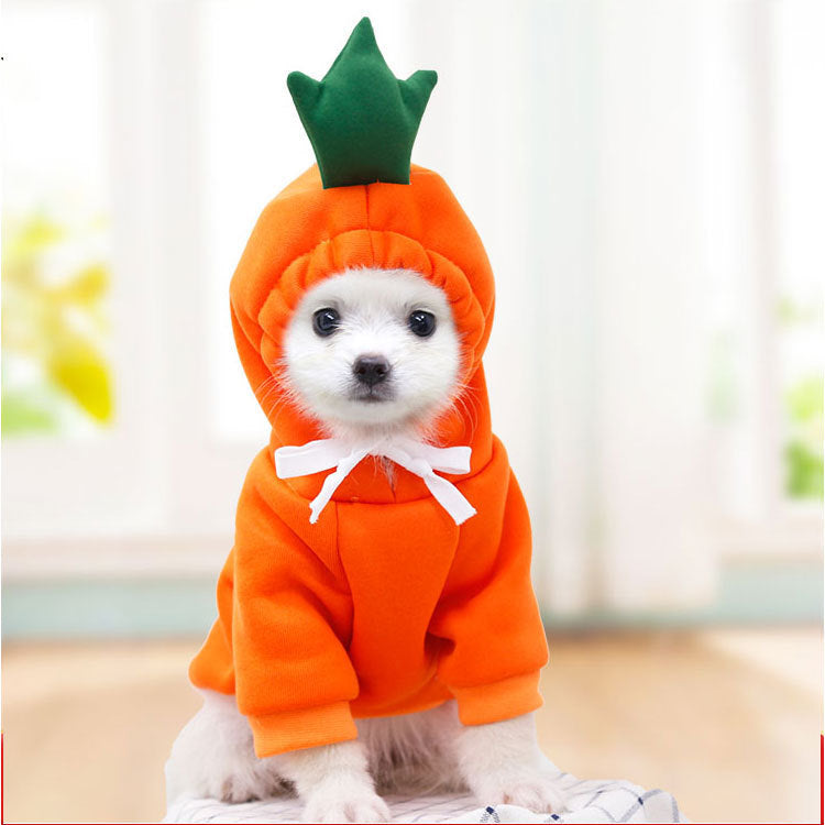 Sudadera con Capucha para Perros Pequeños y Medianos – Diseño de Frutas para Otoño e Invierno