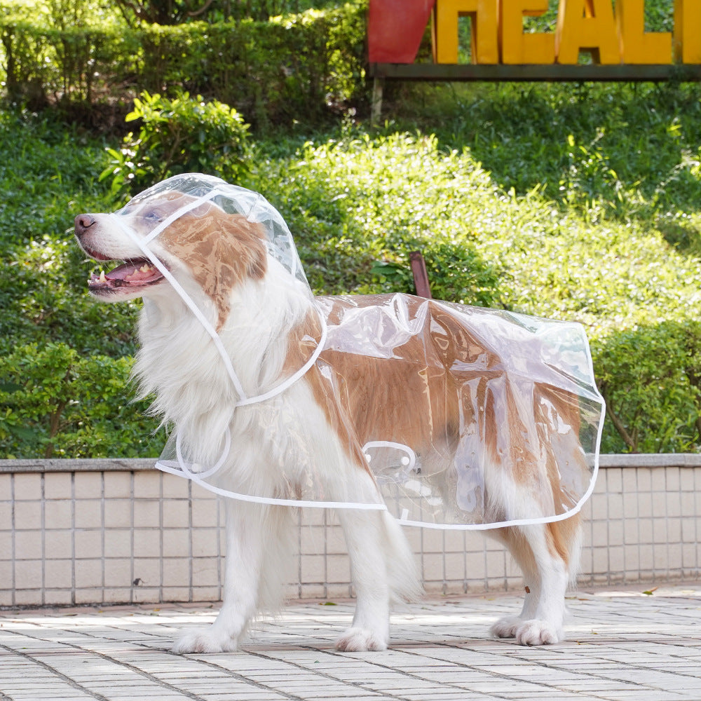 Impermeable Transparente para Perros Pequeños, Medianos y Grandes