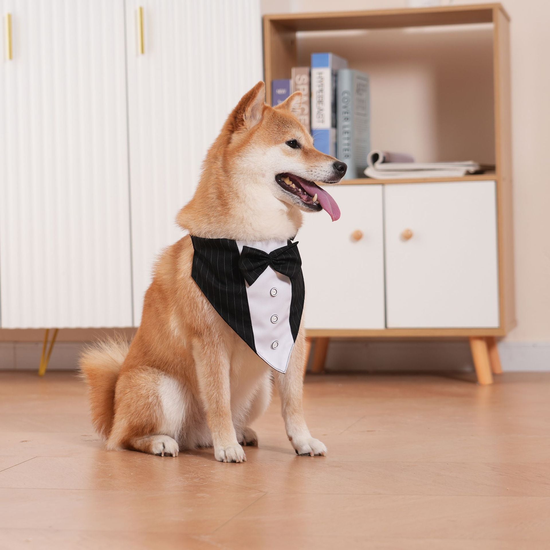 Pañuelo de corbatín para fotos de mascotas