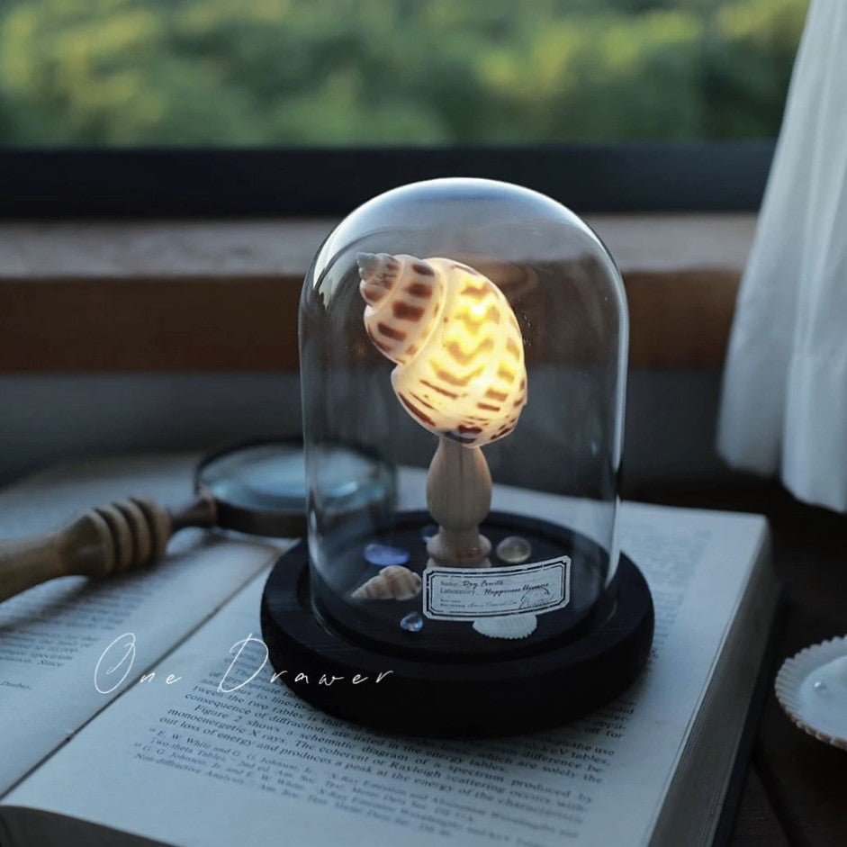 Kit Manualidades DIY : Lámpara de Conchas Marinas