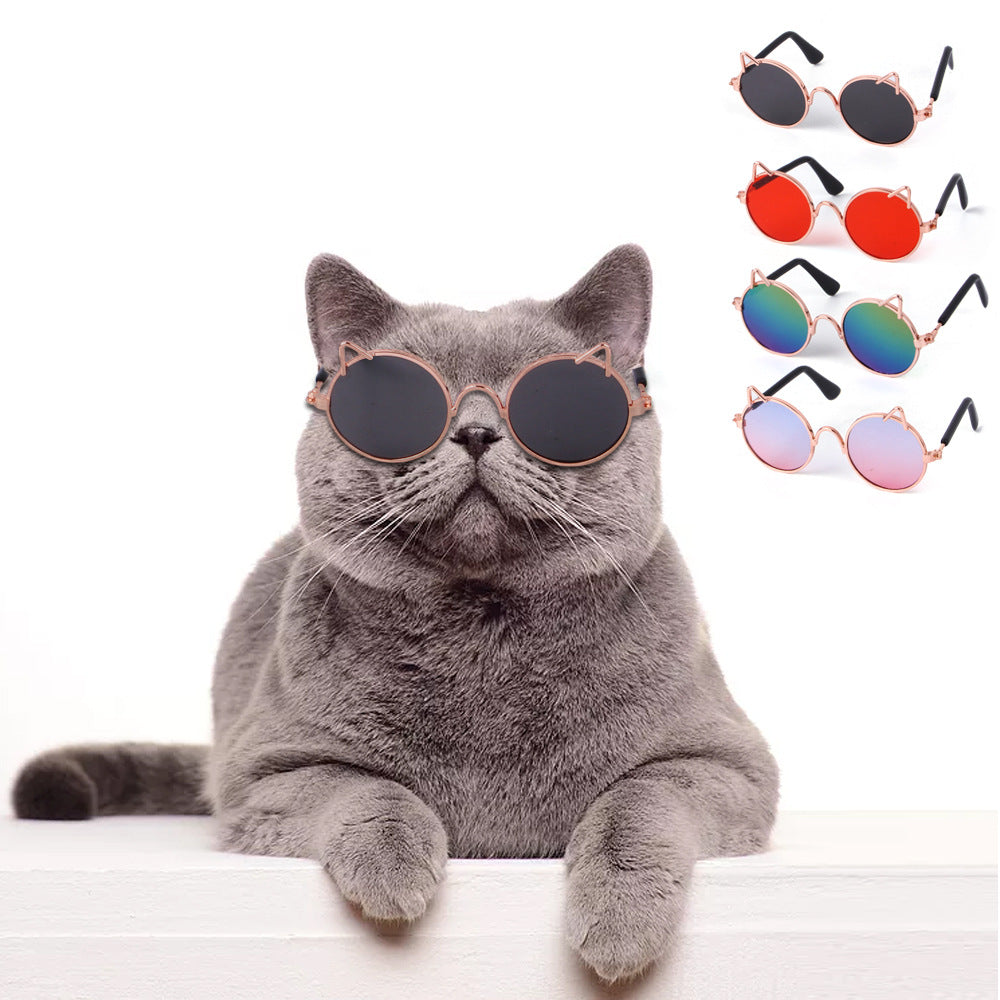 Gafas de sol para perros y gatos con diseño divertido para mascotas