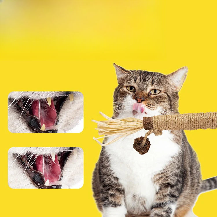 Juguete con catnip para gatos – Varita con hierba gatera para masticar y calmar el estrés