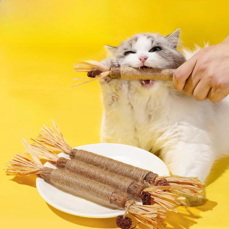 Juguete con catnip para gatos – Varita con hierba gatera para masticar y calmar el estrés