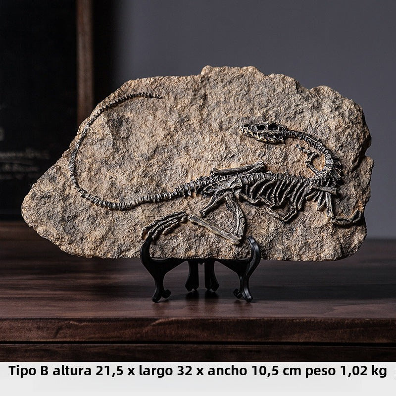 Fósiles de Dinosaurio para Decoración Infantil