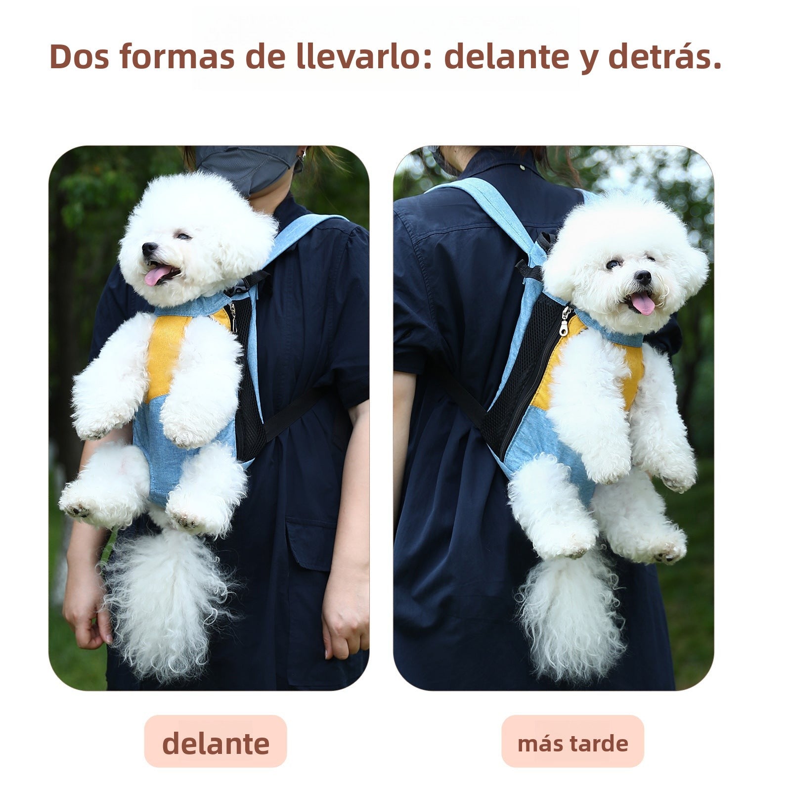 Bolso Porta Mascotas Tipo Mochila : Para Perros y Gatos, Seguro, Cómodo y Resistente