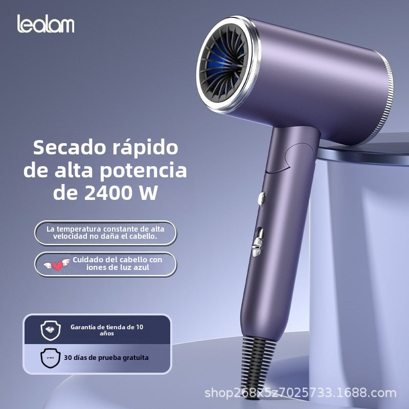 Secador de pelo plegable de gran potencia: calefacción constante, no daña el cabello, ideal para uso doméstico y salones de belleza