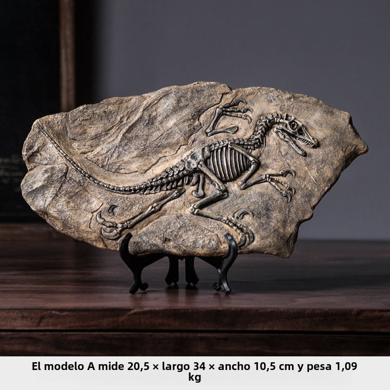 American Style Dinosaur Fossil Book: Living Room, Hallway Decoration and Collectible Items