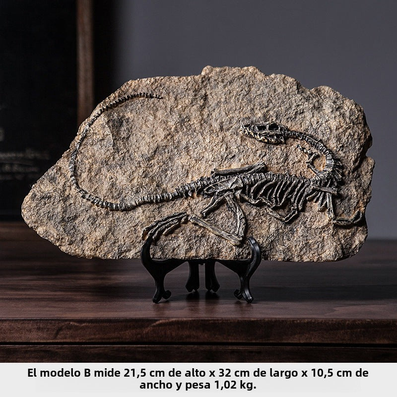 American Style Dinosaur Fossil Book: Living Room, Hallway Decoration and Collectible Items