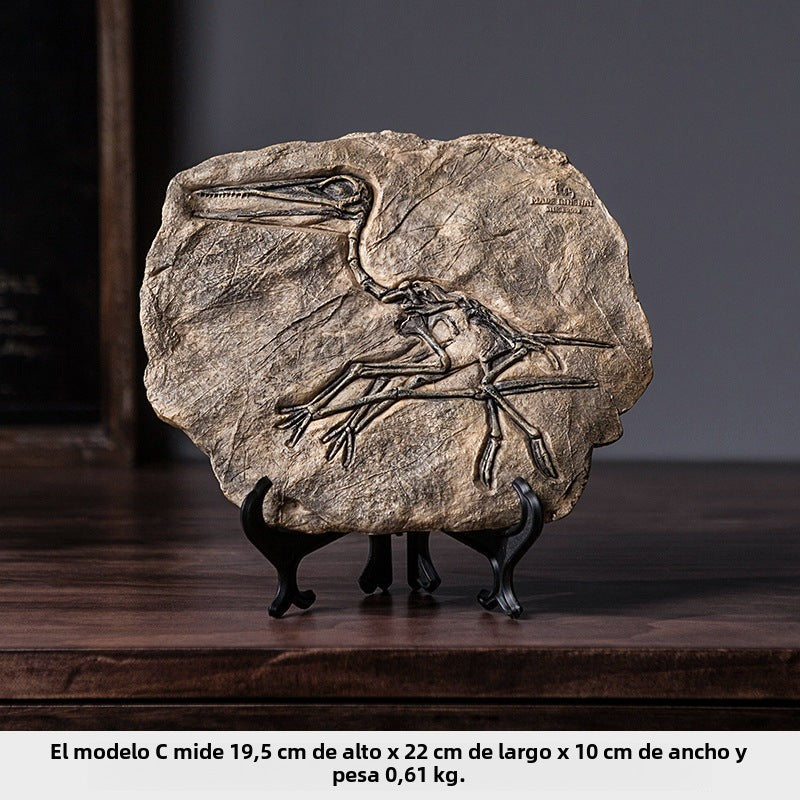 American Style Dinosaur Fossil Book: Living Room, Hallway Decoration and Collectible Items