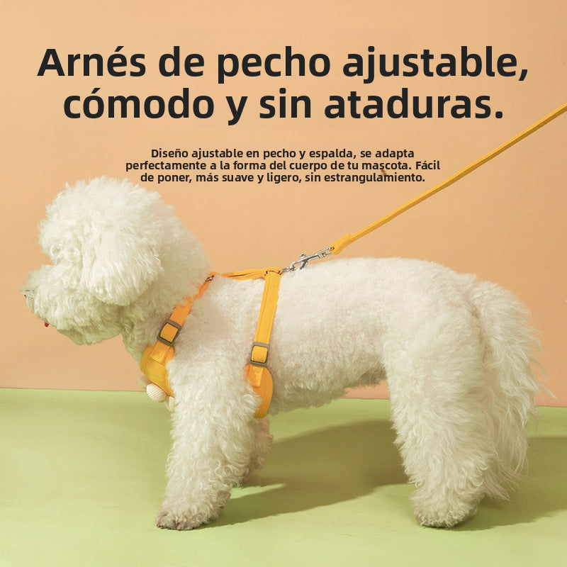 Arnés para Mascotas Pequeñas con Correa de Paseo – Diseño de Margarita en el Pecho