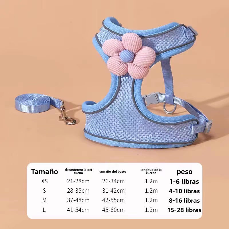 Correa y arnés de paseo para mascotas pequeñas