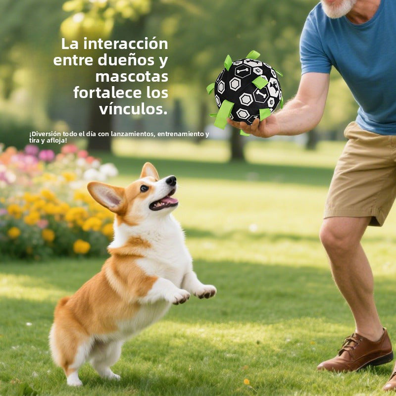 Pelota de Juguete para Mascotas: con Sonido y Agarraderas para fácil Entrenamiento