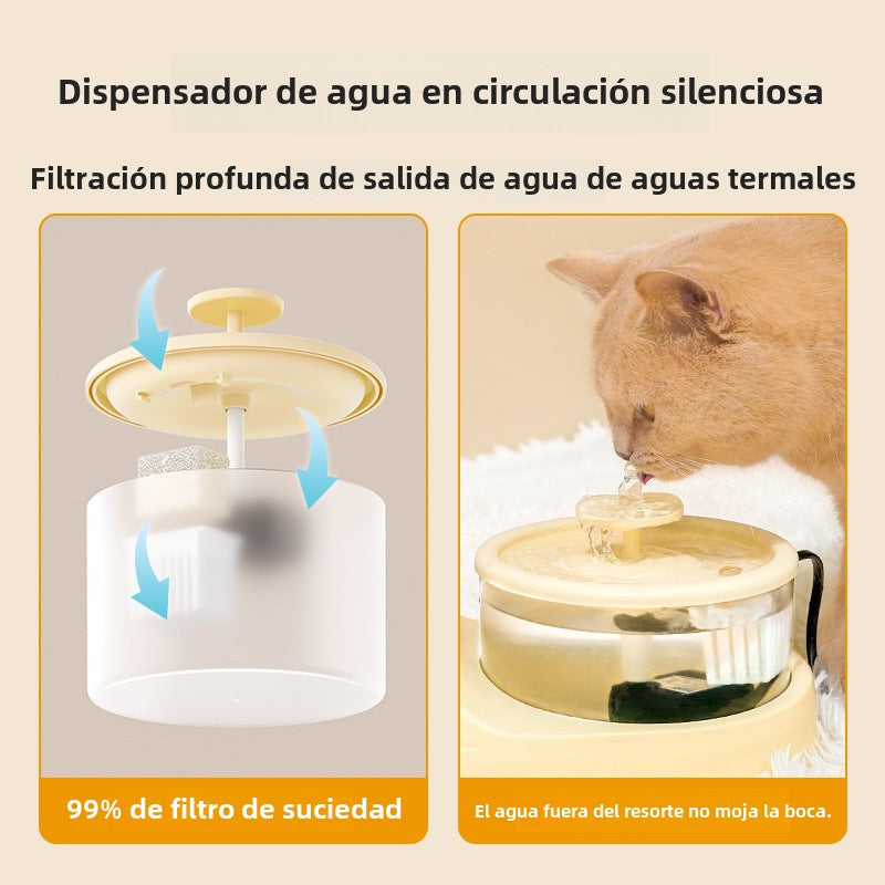 Fuente de Agua 2 en 1 para Gatos: Automático con Filtro Circulante