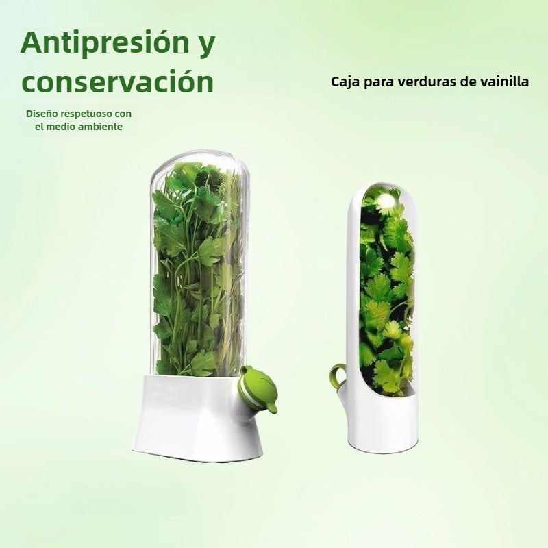 Recipiente Conservador de Hierbas y Verduras: Organizador con Ventilación para Cilantro y Aromáticas