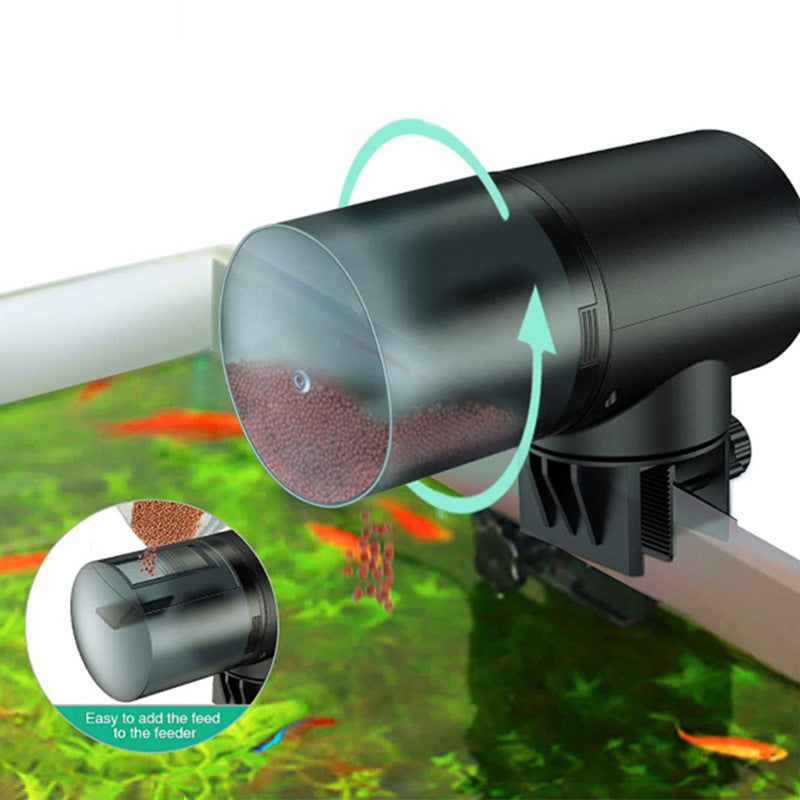 Alimentador automático programable para peces