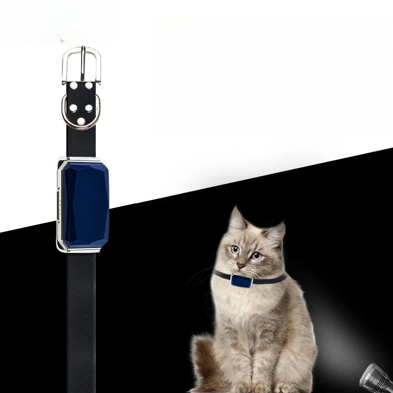 Collar GPS para mascotas: Posicionador de seguimiento y localización para automóvil