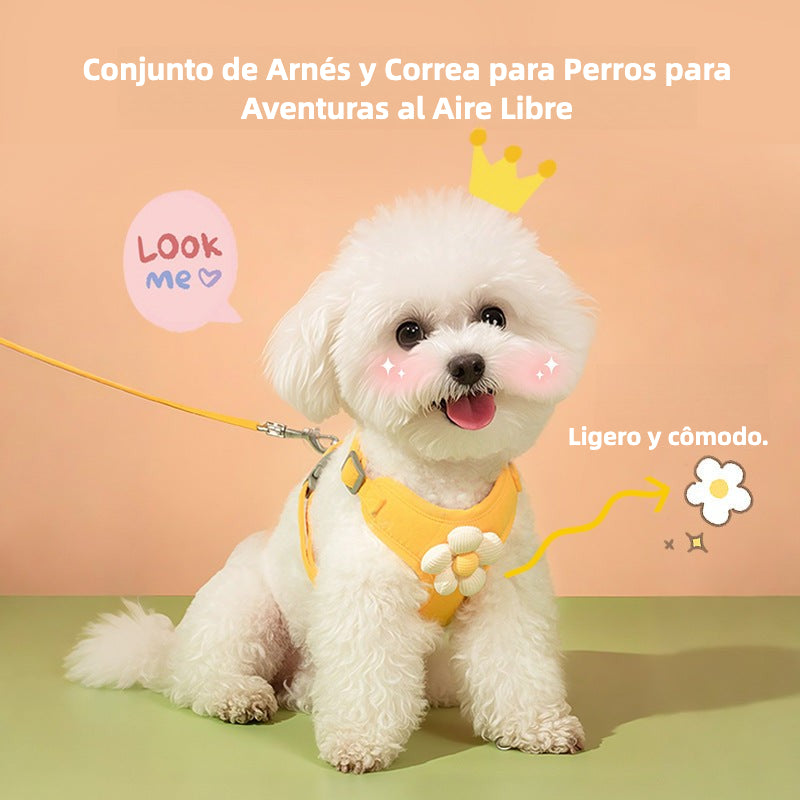 Arnés para perros pequeños con correa y diseño de margarita