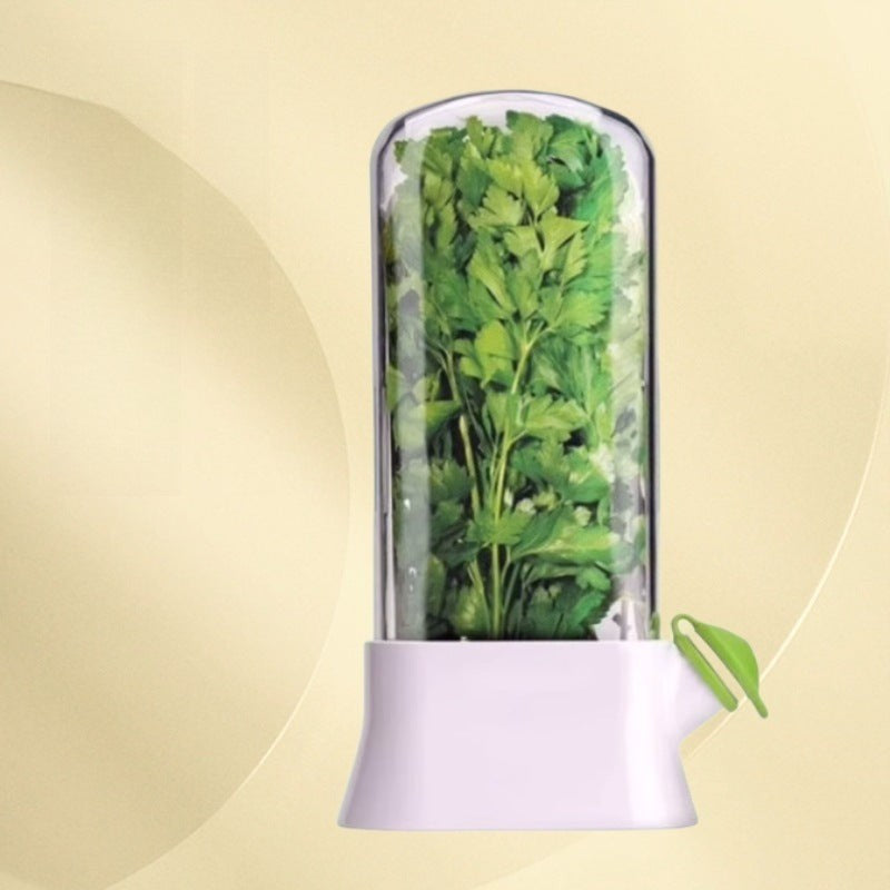 Recipiente Conservador de Hierbas y Verduras: Organizador con Ventilación para Cilantro y Aromáticas