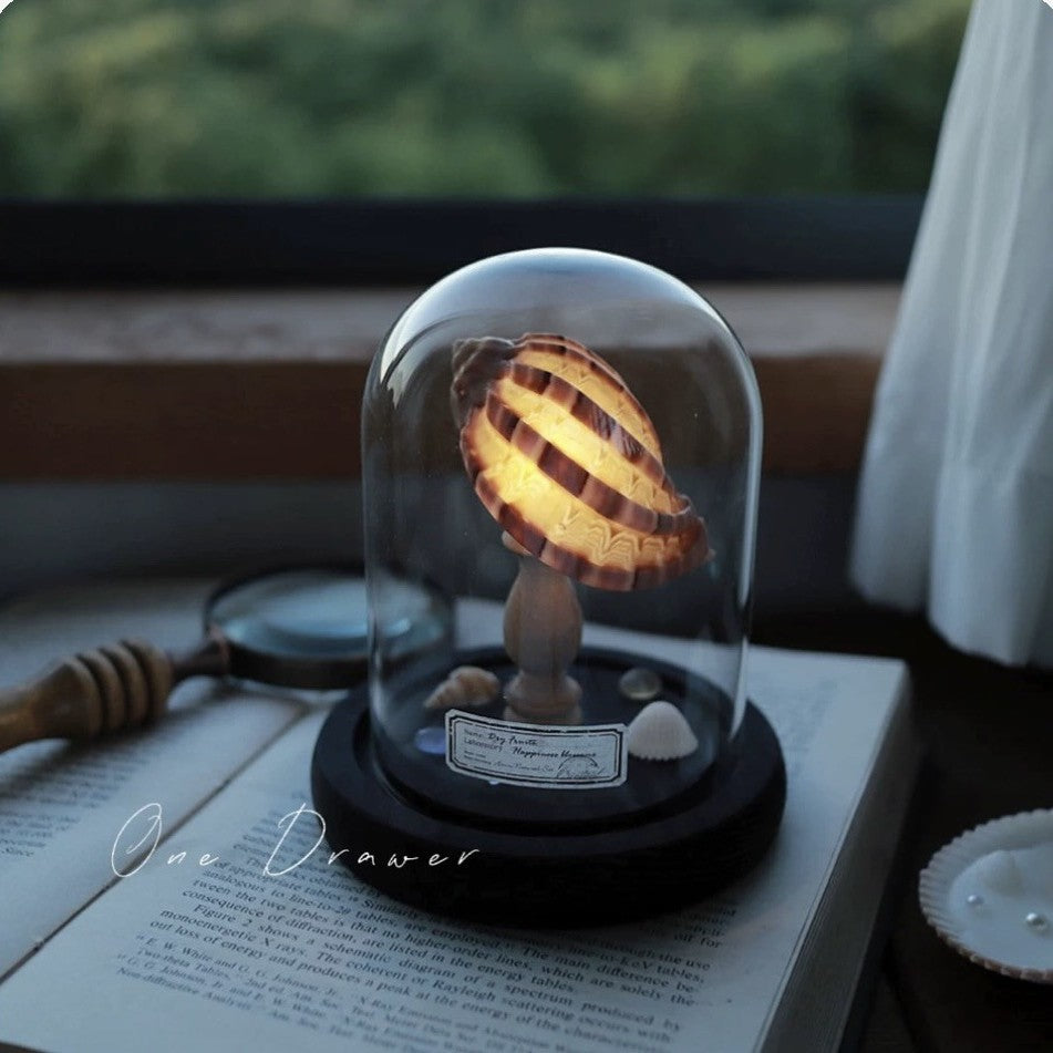 Kit Manualidades DIY : Lámpara de Conchas Marinas