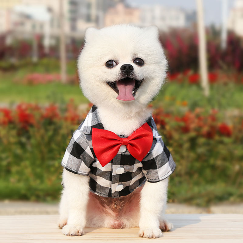 Camisa con pajarita para mascotas en diferentes tallas