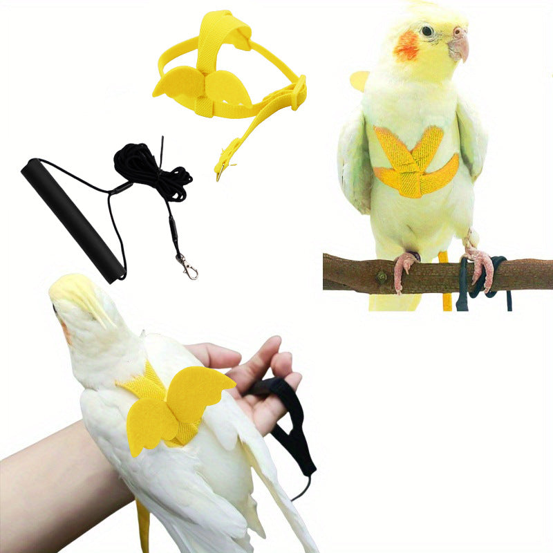 Arnés de paseo para loros con correa ajustable