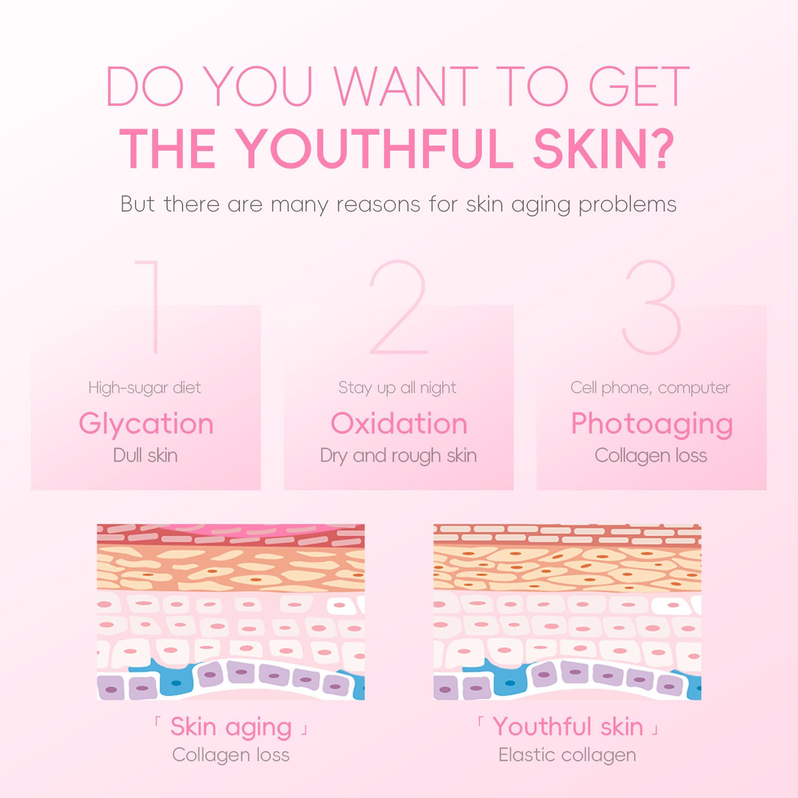 LaiKou Crema Hidratante de Planta de Cereza Sakura 40g: Hidratación y Cuidado de la Piel