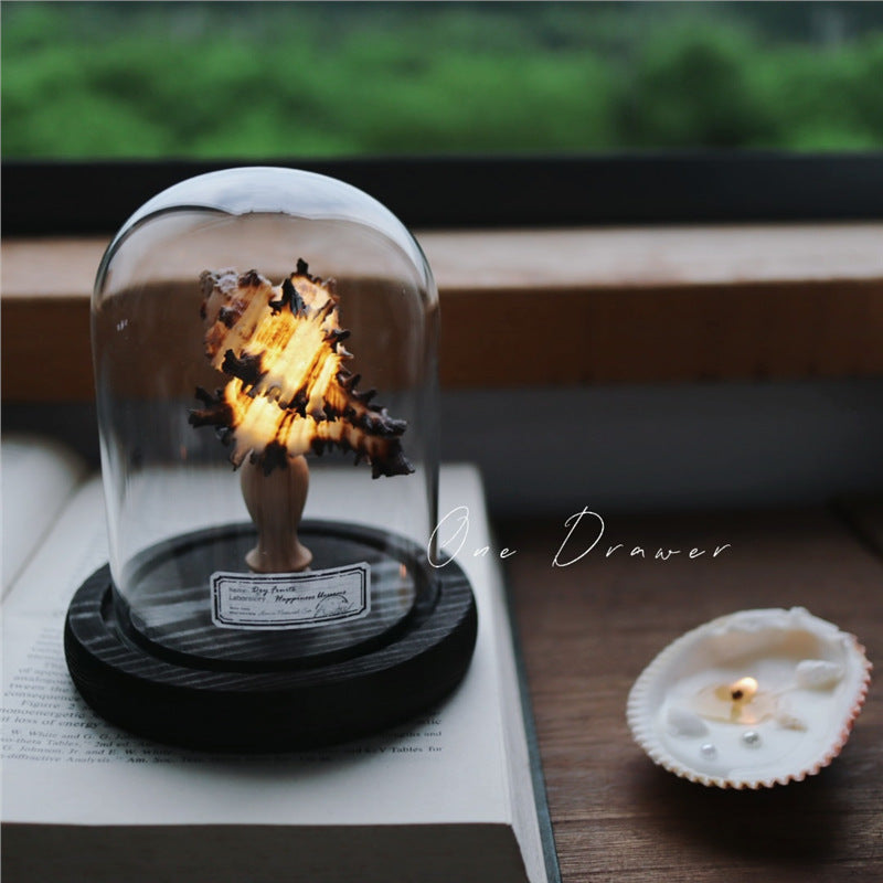 Kit Manualidades DIY : Lámpara de Conchas Marinas