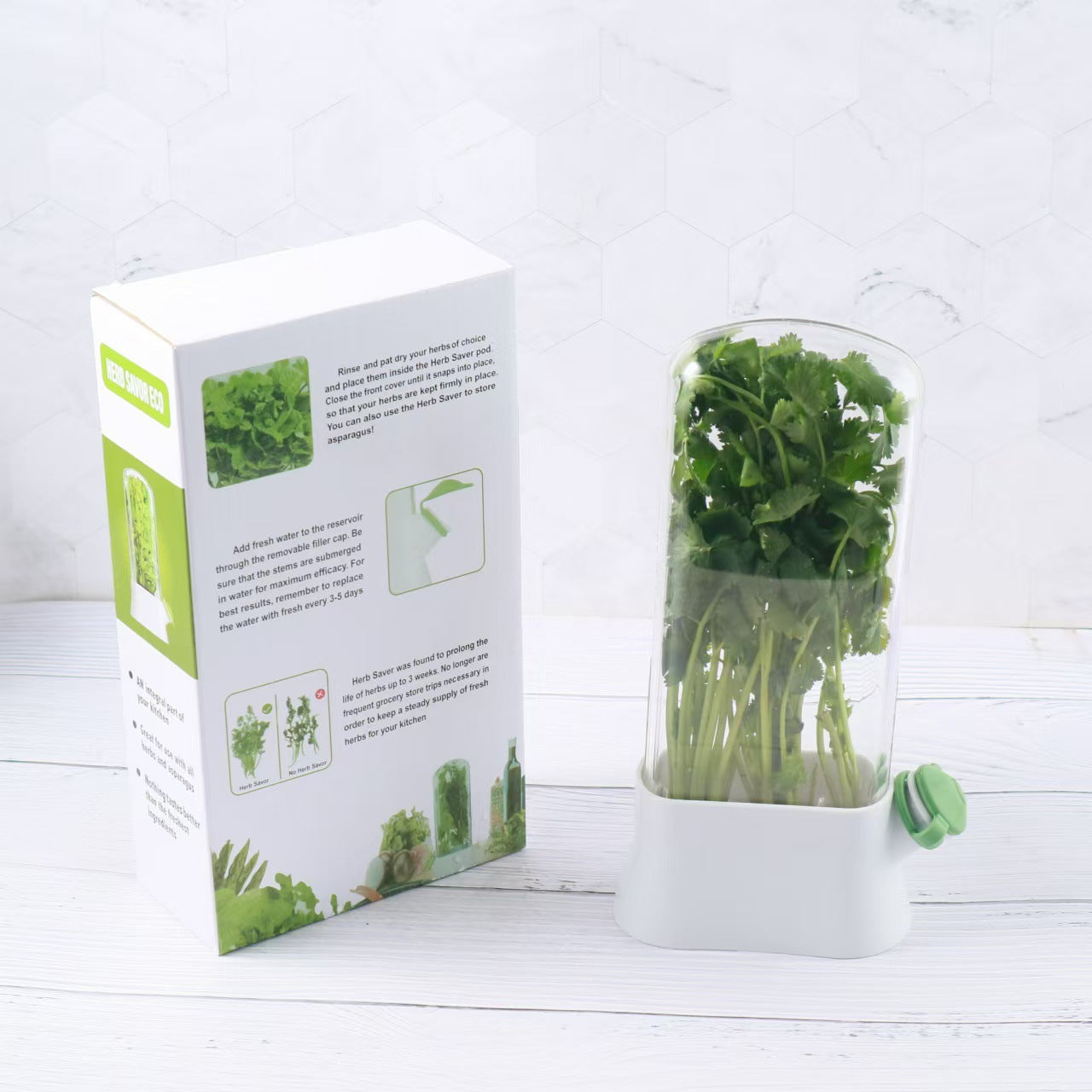 Recipiente Conservador de Hierbas y Verduras: Organizador con Ventilación para Cilantro y Aromáticas