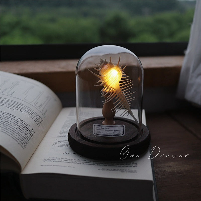 Kit Manualidades DIY : Lámpara de Conchas Marinas