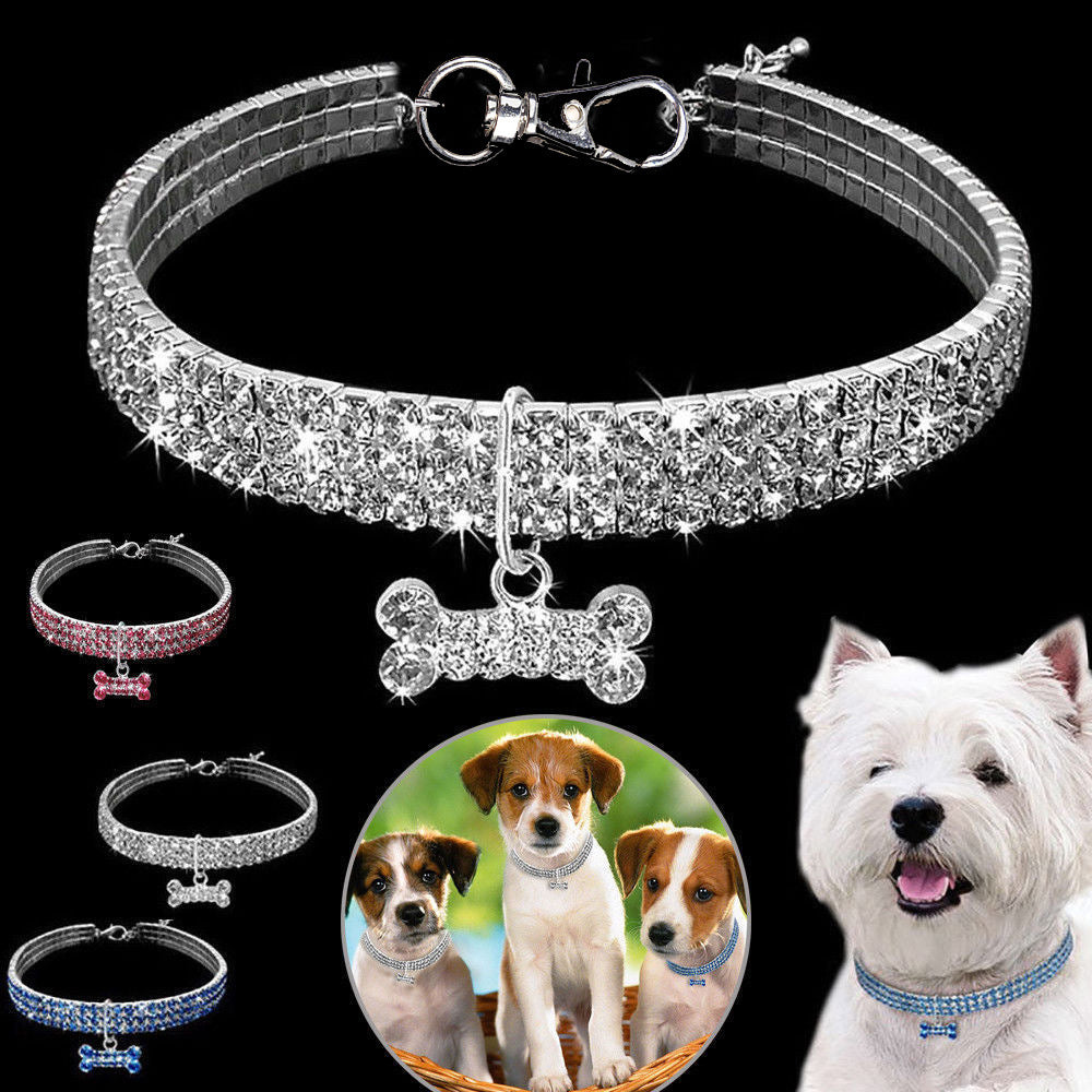 Collar elástico de piedras brillantes para gato con adorno en forma de hueso