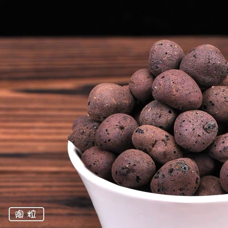 Sustrato de Arcilla Expandida para Macetas, Suculentas y Cultivo Hidropónico