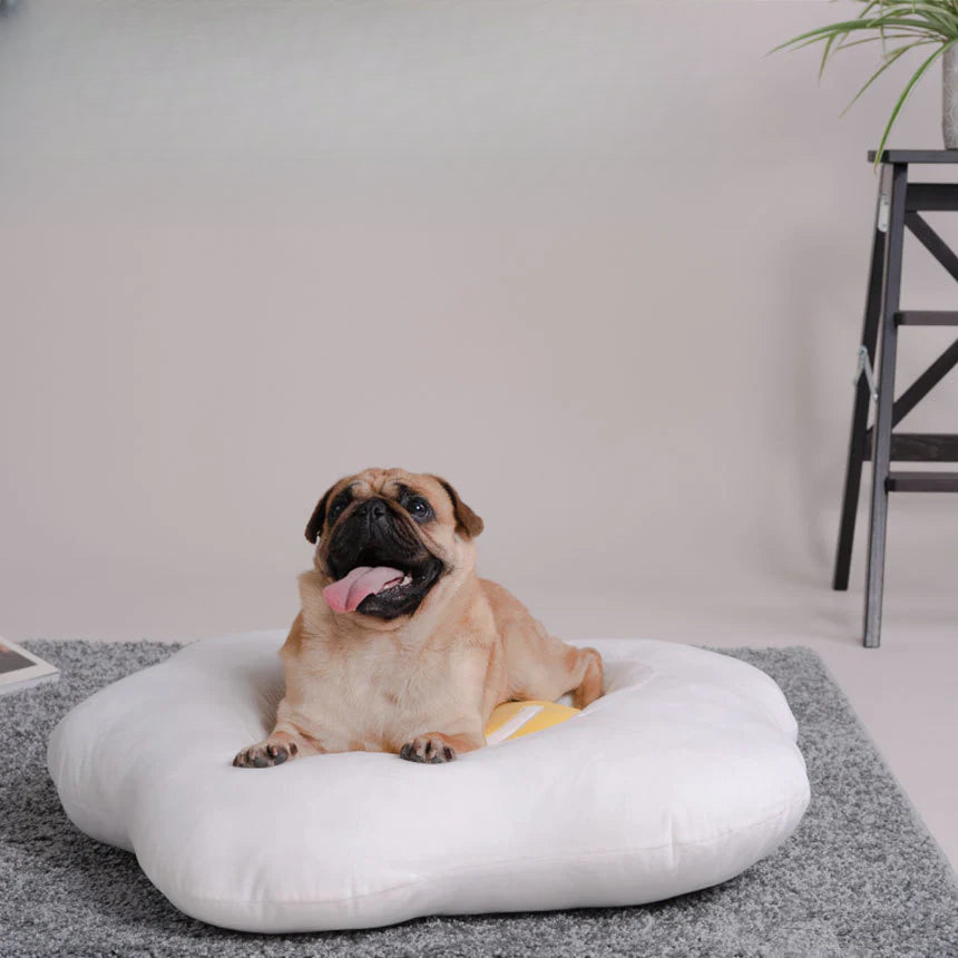 Cama antiestrés para mascotas con diseño de huevo frito, termal y curry – Original y divertida