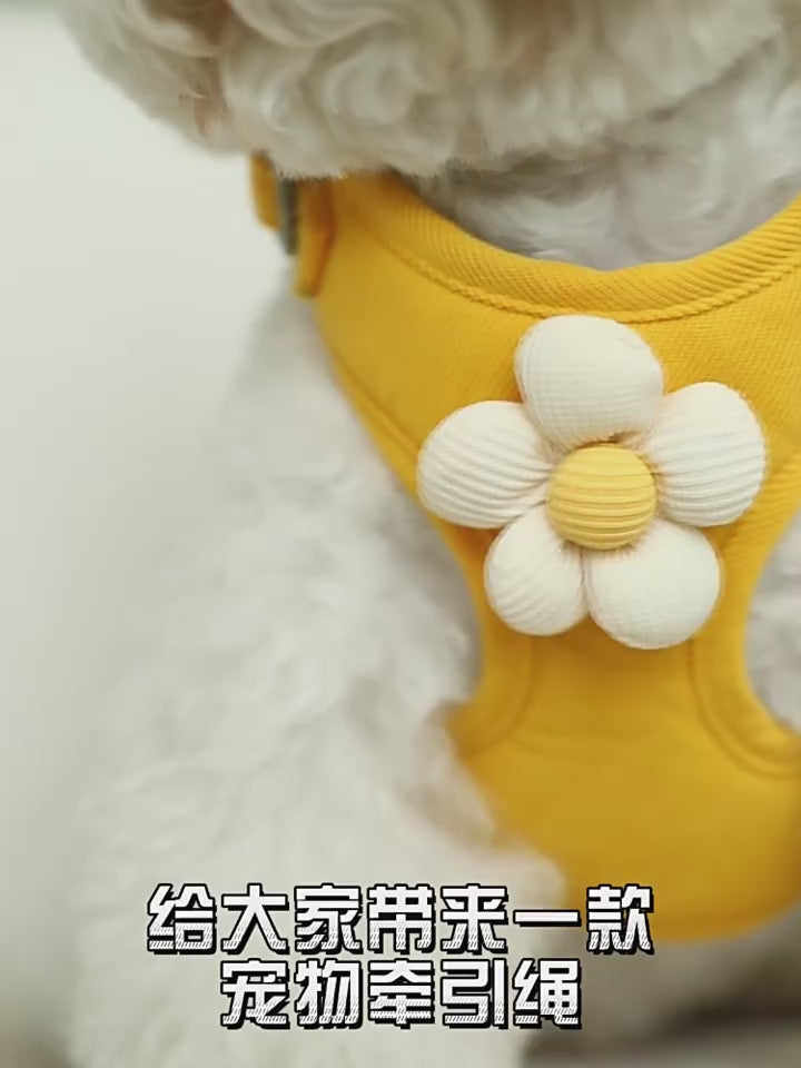 Kuai Kuai Customer Support 