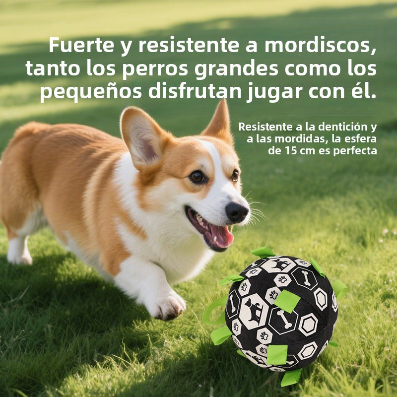 Pelota de Juguete para Mascotas: con Sonido y Agarraderas para fácil Entrenamiento