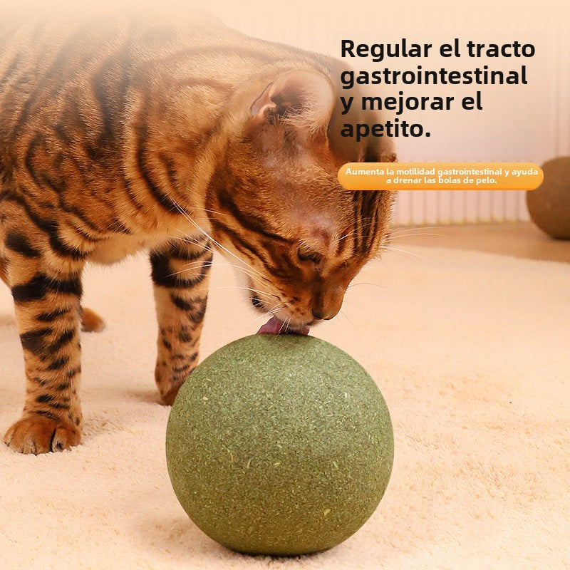 Pelota de Catnip para Gato- Bola de Hierba Gatera Menta Natural